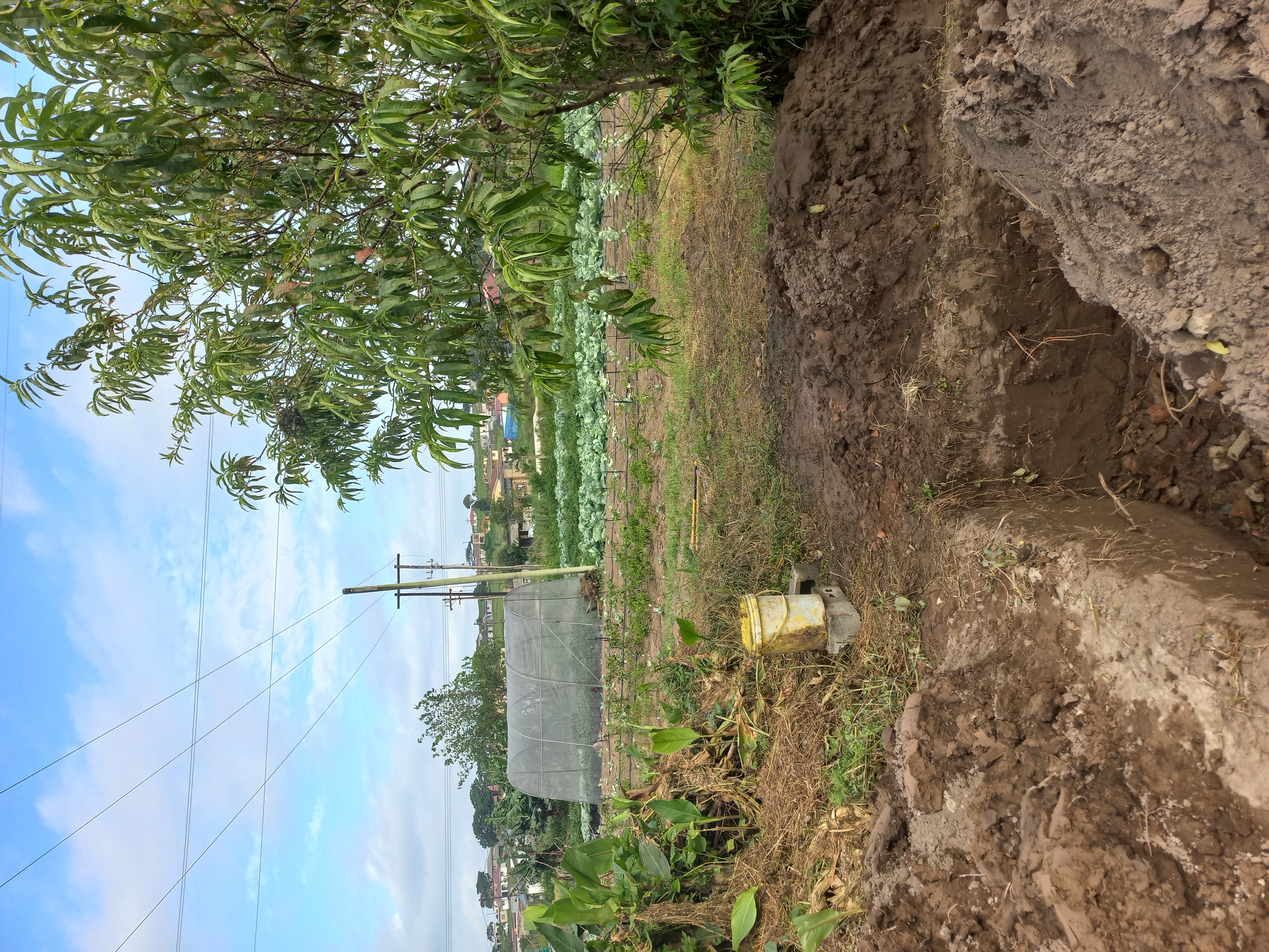 Ndoyenk Technology packages comes with civil work to ensure that the plant is installed on the stable platform.